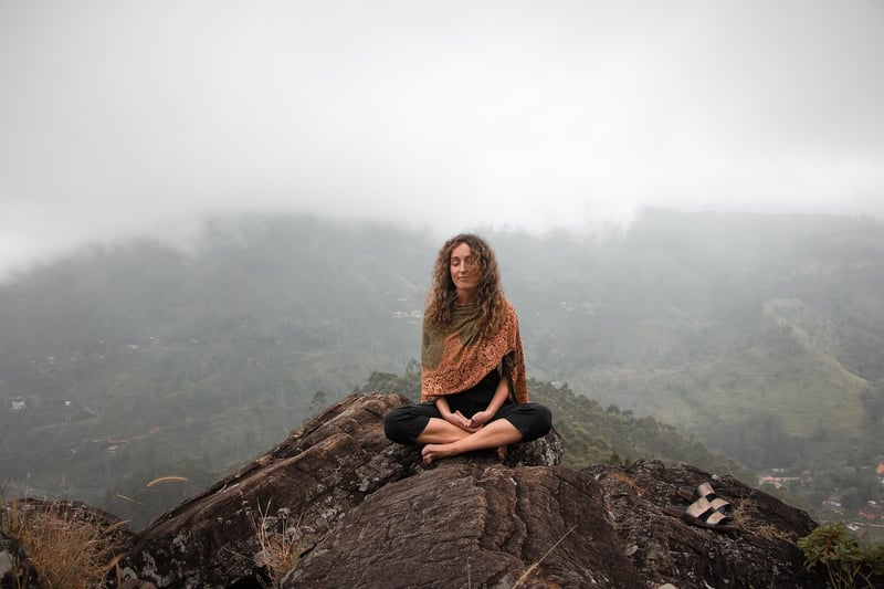 Meditation Workshop